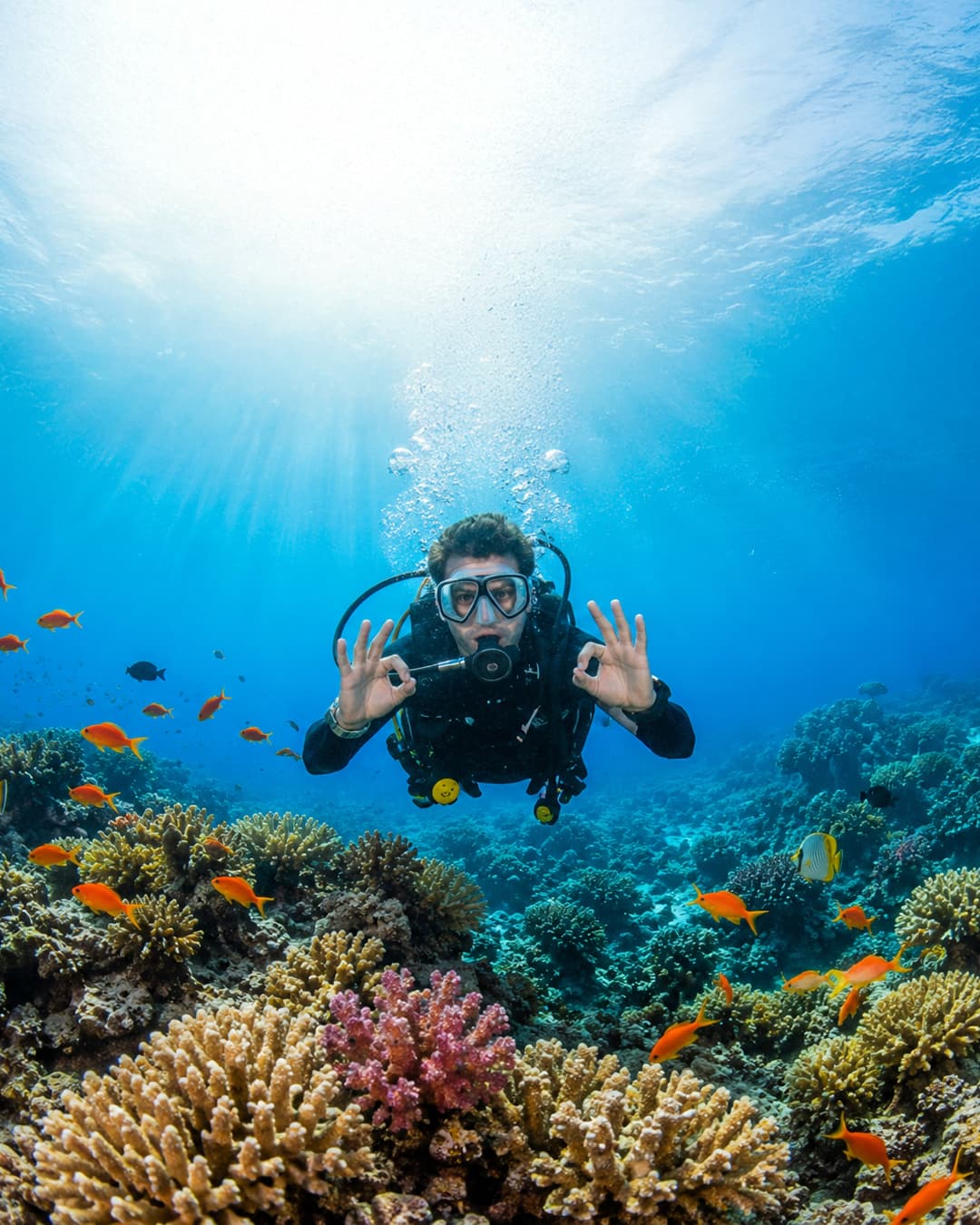 Diving Trip