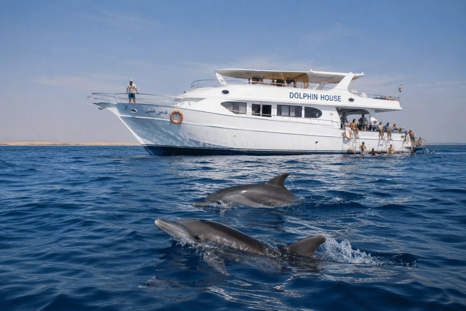 Dolphin House